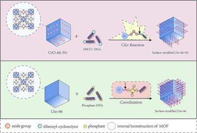 Review of the Biomolecular Modification of the Metal-Organ-Framework